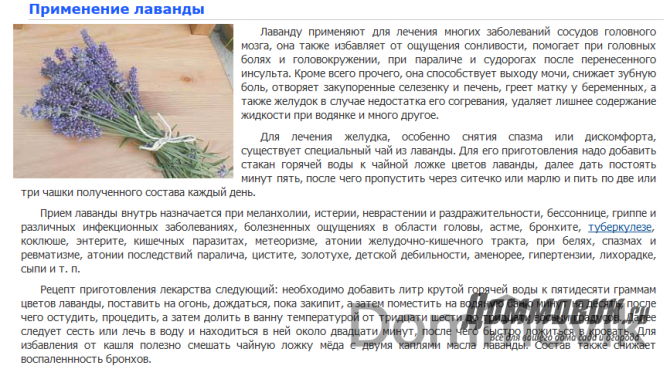 Лаванда в народной медицине