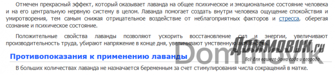 Лаванда в народной медицине