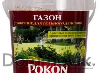 Как поливать газон и какие использовать удобрения