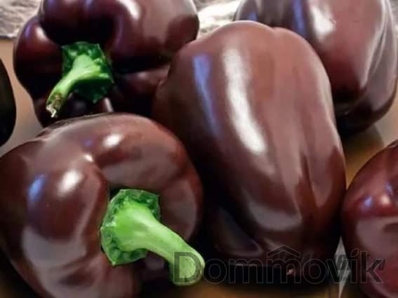Самые необычные и красивые овощи