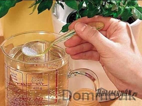 Польза янтарной кислоты для растений