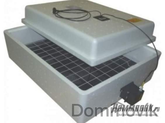 Преимущества и недостатки автоматического инкубатора-несушки