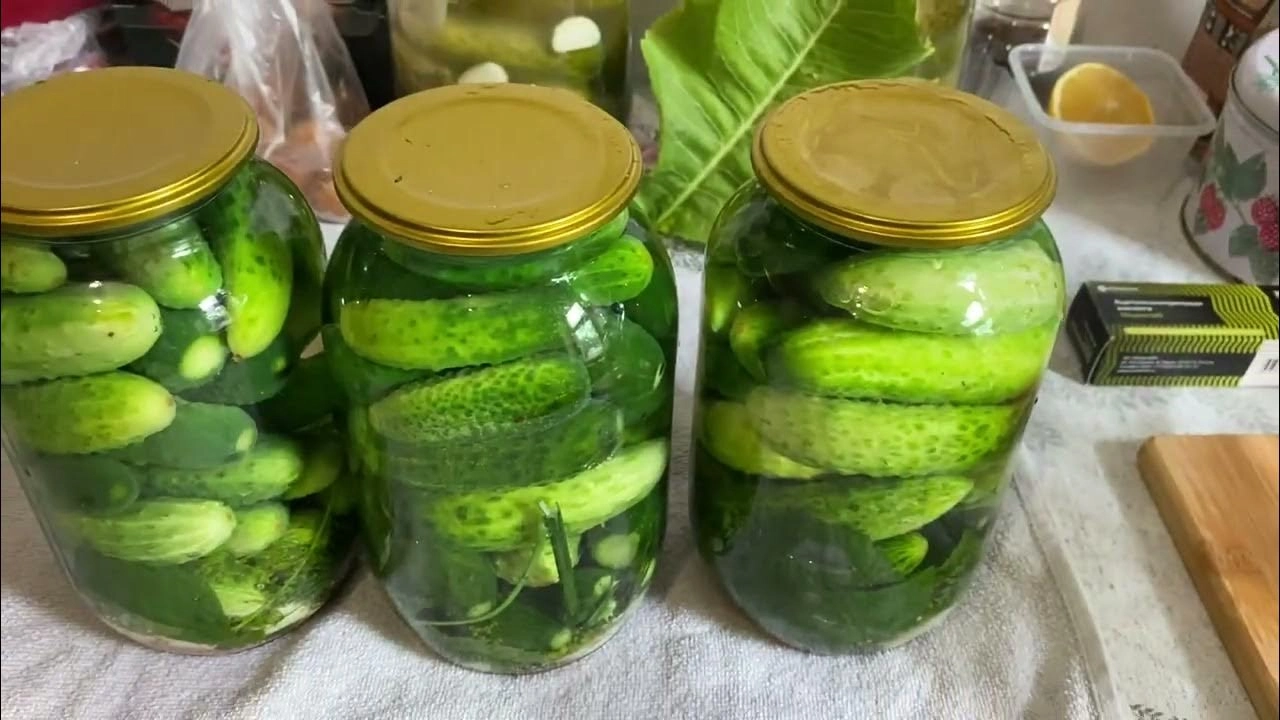 Огурцы на зиму в банках: засолка и маринование разными способами Огурцы на зиму в банках: засолка и маринование разными способами